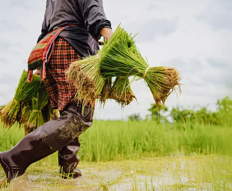 There are many variations of passages of Lorem Ipsum available, but majority have suffered teration in some form, by injected humour, or randomised words which don't look even slight believable. If you are going to use a passage of Lorem Ipsum.